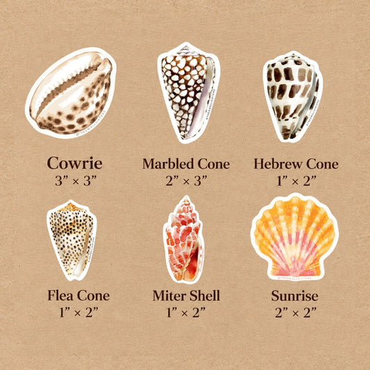 Weatherproof Shell Stickers
